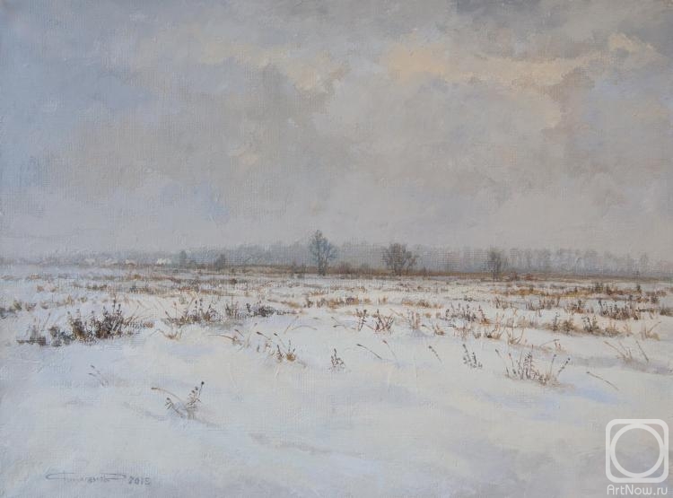 Finagenov Dmitriy. Field covered with snow