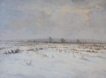 Field covered with snow. Finagenov Dmitriy