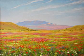 Spring field. Zhornick Oleg