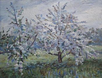 May Day. Apple trees