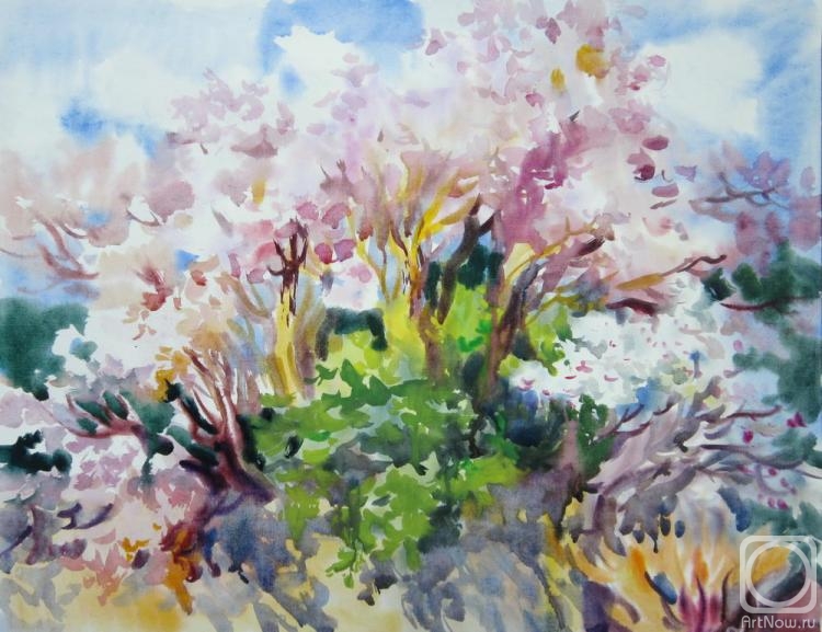 �������. ���������� ���������. ������� �������