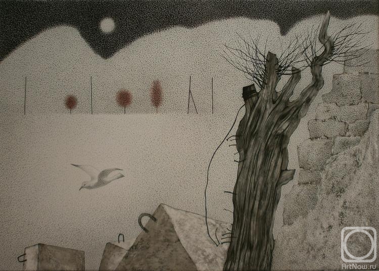 �������. �������� ����. �����