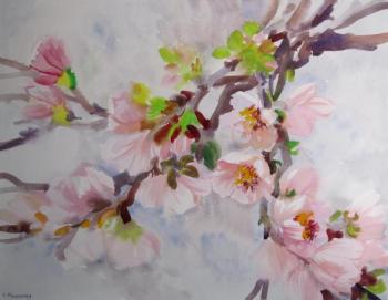 ������� ������� ���������