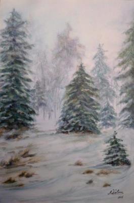 A Christmas tree was born in the forest. Lizlova Natalija