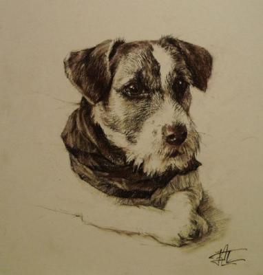 ������� ������. ������ ����