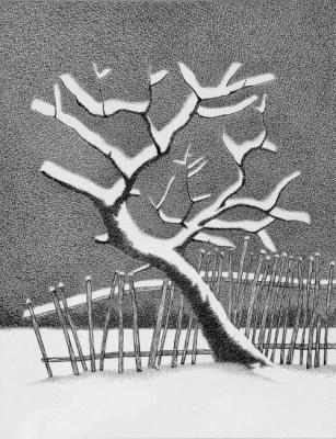 ������� ������� �������