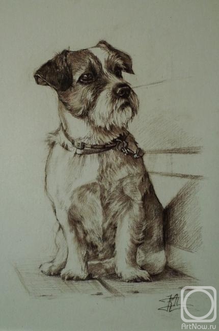 �������. ������ ����. ������ �� ����� ���