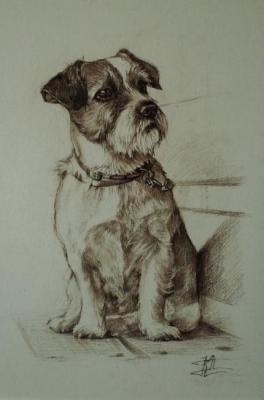 ������ �� ����� ���. ������ ����