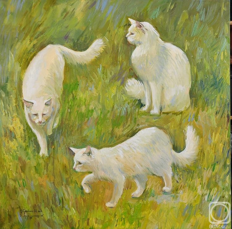 ������� ������ �� ������. ��������� ����. ���� ���������