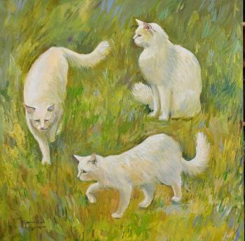 The circle has closed