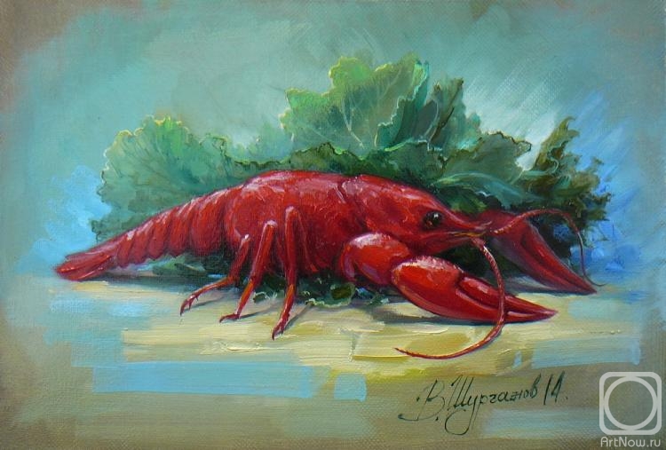 Shurganov Vladislav. Crayfish