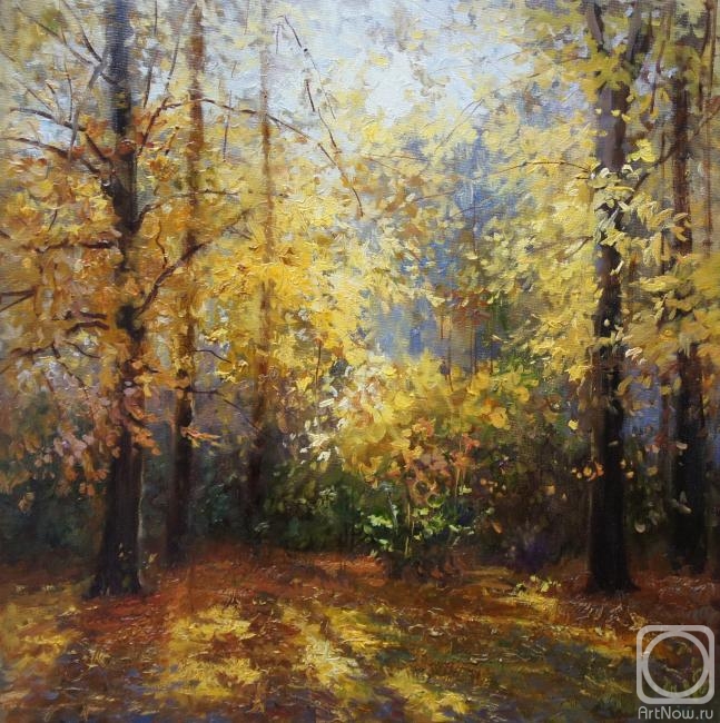 ������� ������ �� ������. ���������� ���������. ������ �����