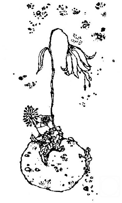 �������. �������� ��������. ������