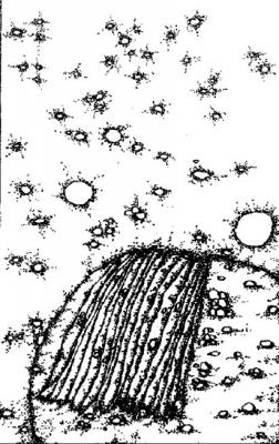 ������� �������