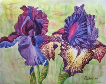 Two Irises. Piacheva Natalia