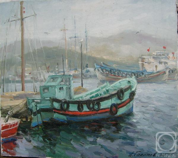 Galimov Azat. Turkish boats