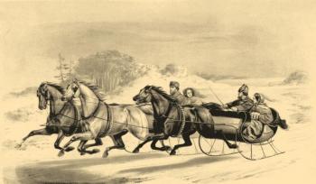 The sleigh race. Kolotikhin Mikhail