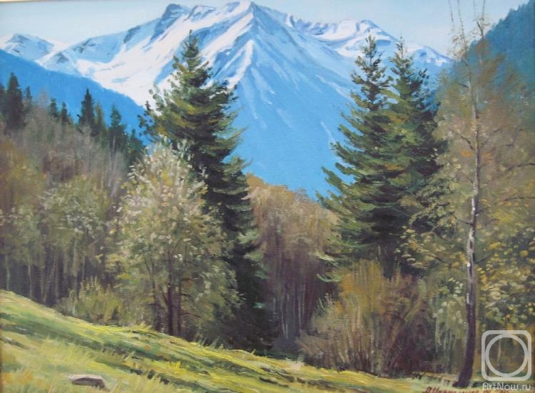 Chernyshev Andrei. Spring in the mountains