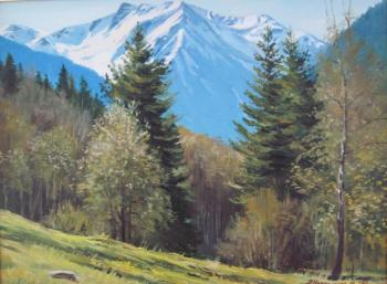 Spring in the mountains. Chernyshev Andrei