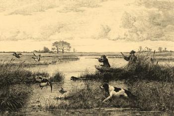 Duck hunting. Kolotikhin Mikhail
