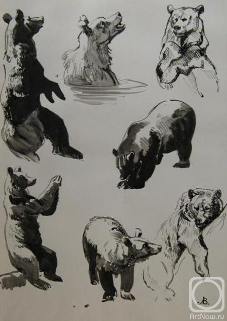Lapovok Vladimir. Bear (full-scale sketches)