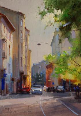 May greens. Plotnikov lane (The Historic City Center). Shalaev Alexey