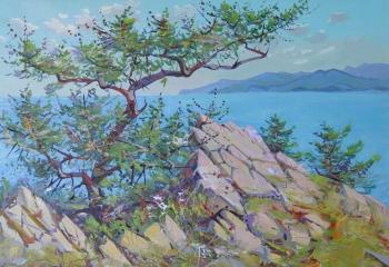 ������� ��� ���� �������