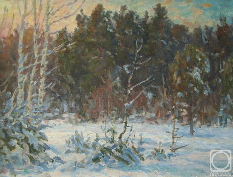 Rudin Petr. Winter forest