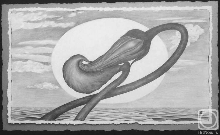 �������. �������� ���������. ��������