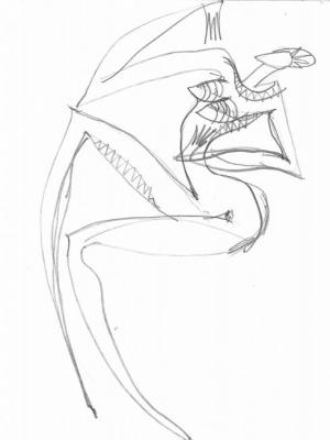 ������� ����������!?�