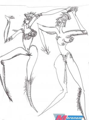 ����� �����. ������ ����