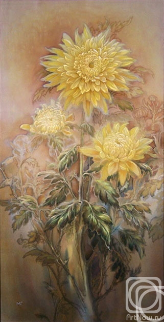 Godich Marina. Yellow chrysanthemum