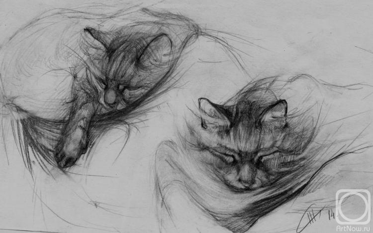 �������. ������ ��������. ���������