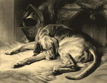 Sleeping Bloodhound (). Kolotikhin Mikhail