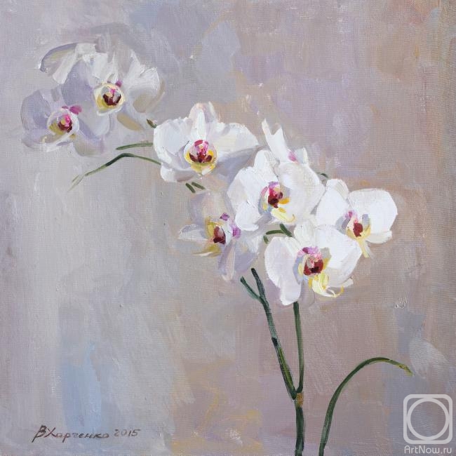 Kharchenko Victoria. White orchid