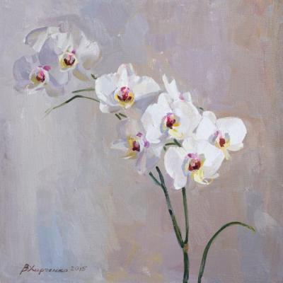 White orchid ( ). Kharchenko Victoria