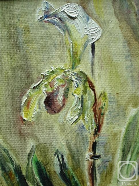 ������� ������ �� ������. ����� ������. ������� ��������