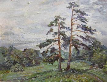 Pines in Uzkoye. Grey Day
