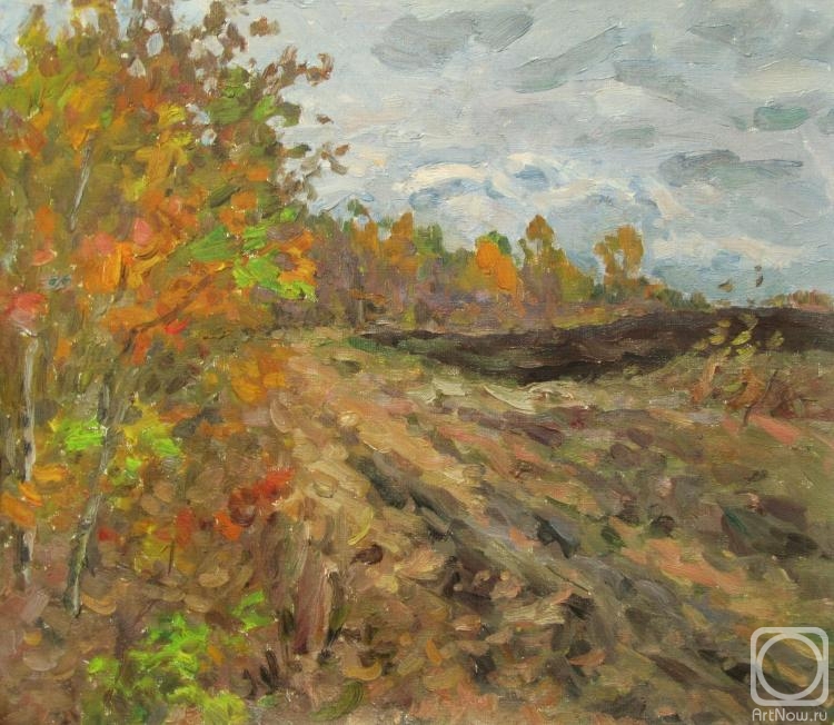 Rudin Petr. Autumn field