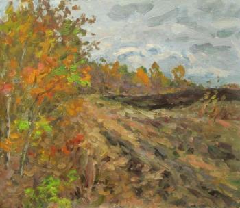 Autumn field. Rudin Petr