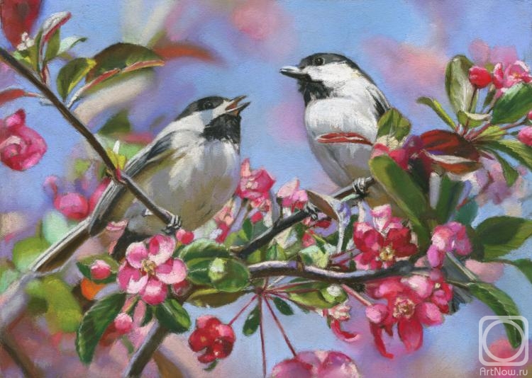 �������. ������� �������. ����� �����