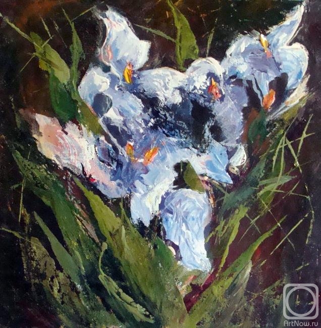 ������� ������ �� ������. ������ ���������. �����