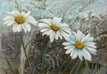 Three daisies (Daisy Flowers Field). Kudryashov Galina