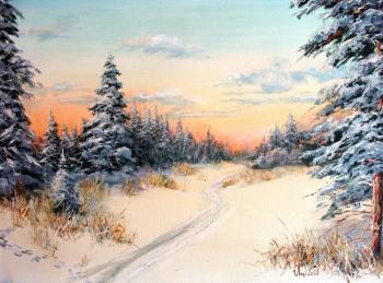 Winter road. Lednev Alexsander