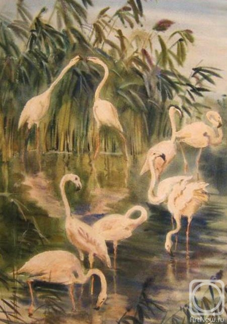 �������. ������� ��������. ��������. �������-����