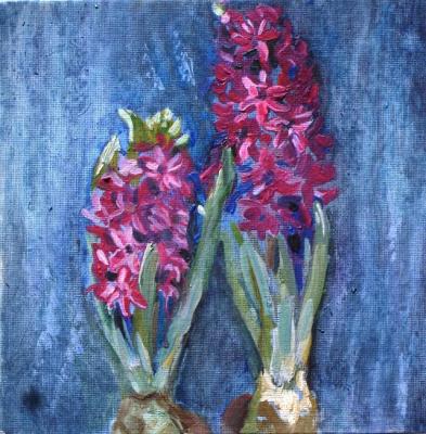 Two purple hyacinths