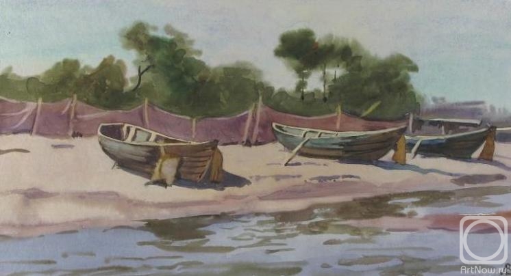 Lapovok Vladimir. Boats on the shore