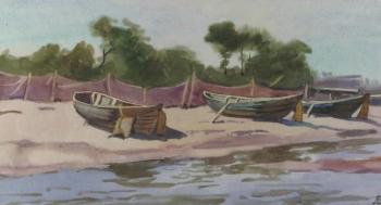 Boats on the shore. Lapovok Vladimir