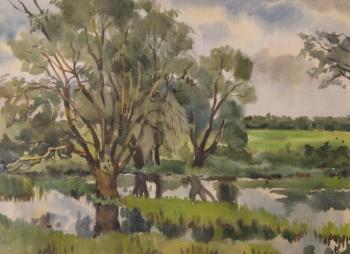 Willows over the channel (). Lapovok Vladimir