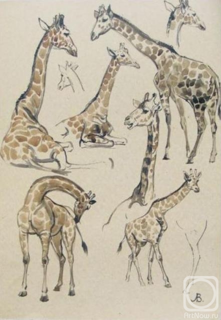 Lapovok Vladimir. Giraffe (sketch)